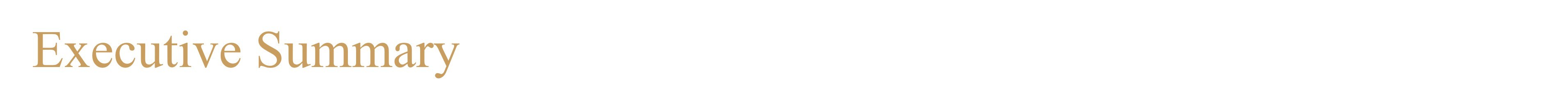 Executive Summary Title