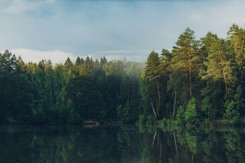 Picture6