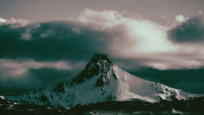 CIO Chartbook: A Fading Trump Momentum?